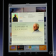Image for article titled Apple iPad eBook App is called 'iBooks'
